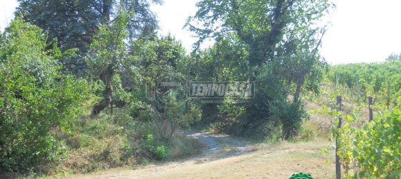 6 rooms House in Strevi, Italy No. 114497 13