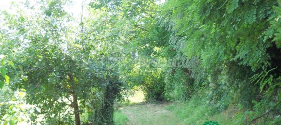 6 rooms House in Strevi, Italy No. 114497 17