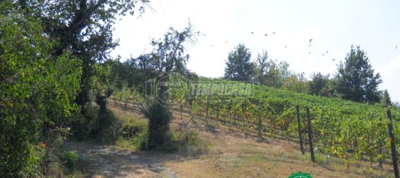 6 rooms House in Strevi, Italy No. 114497 12