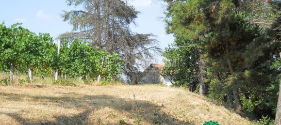 6 rooms House in Strevi, Italy No. 114497 14