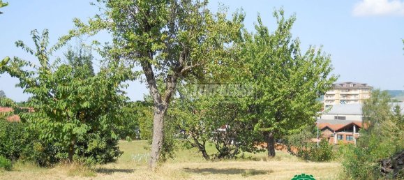 6 rooms House in Strevi, Italy No. 114497 15