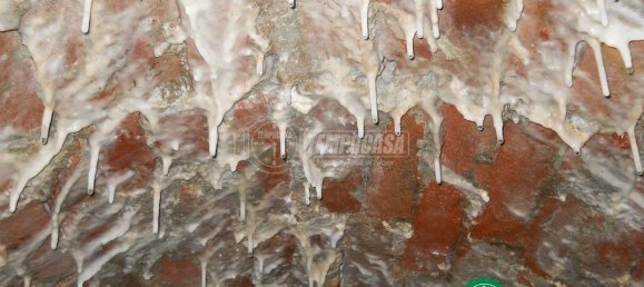 6 rooms House in Strevi, Italy No. 114497 25