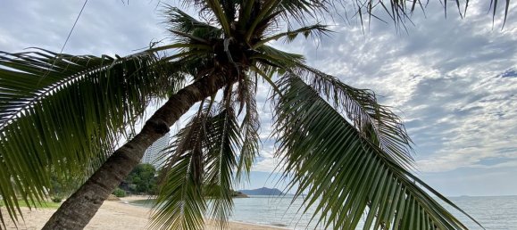 2 bedrooms Condo in Sattahip, Thailand No. 11889 5