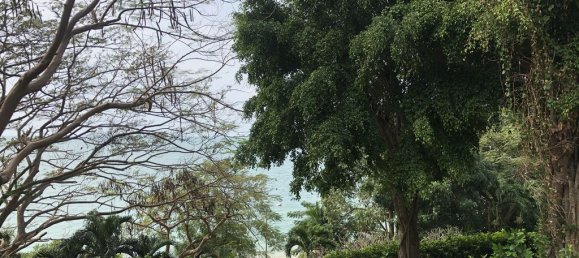 2 bedrooms Condo in Sattahip, Thailand No. 11889 28