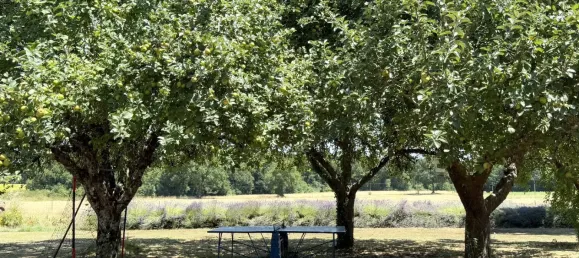 Casa T4 em Charente, France N.º 352071 7