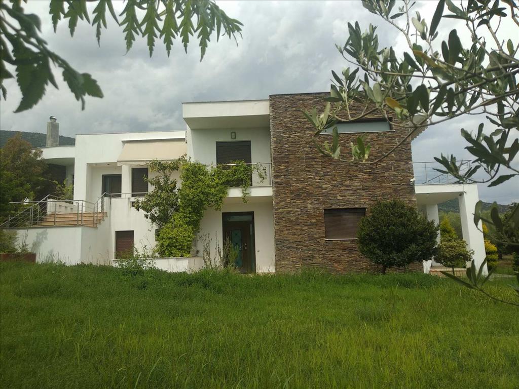 4 غرف نوم فيلا في Pella, Greece رقم 4239