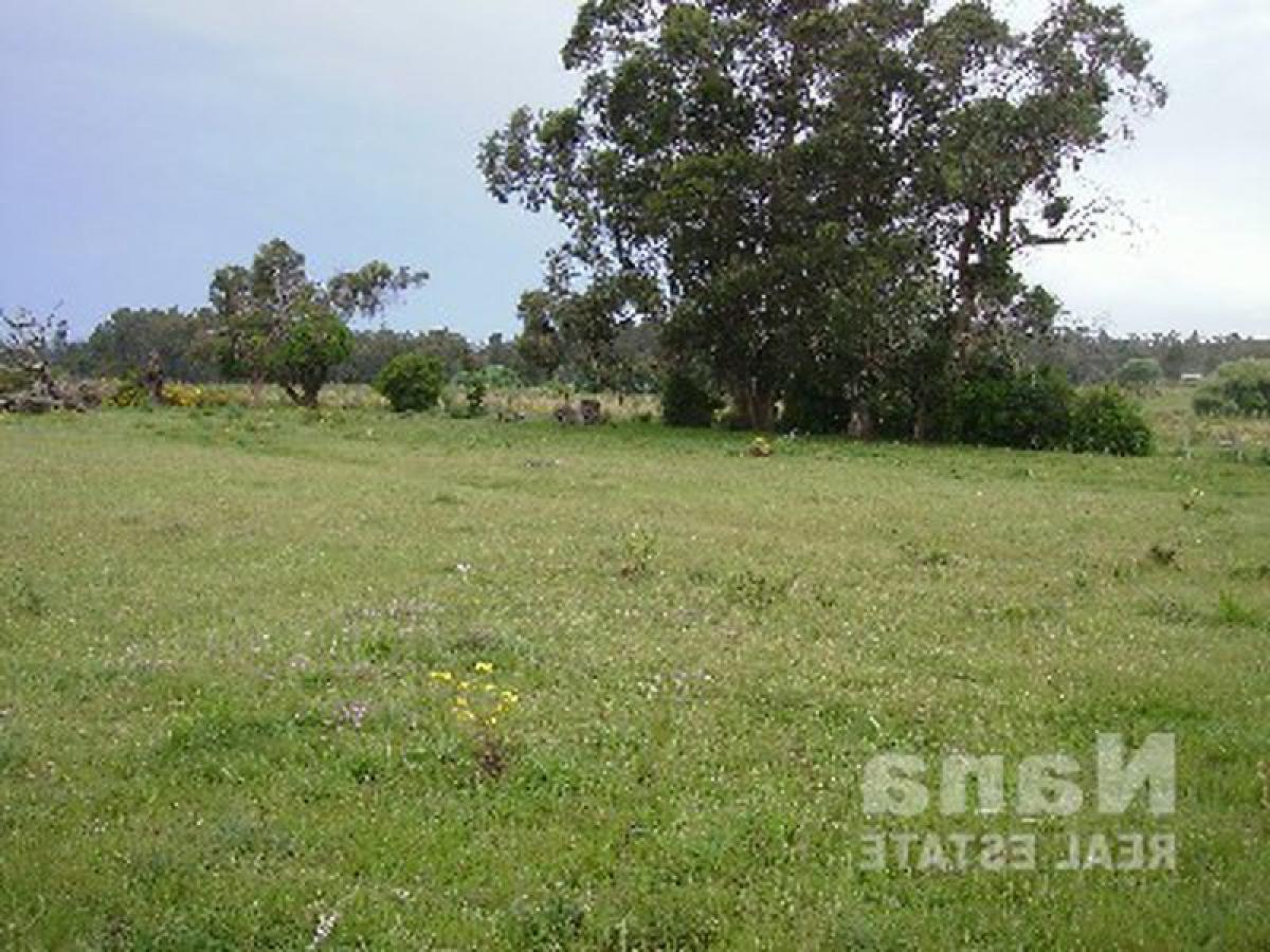 Granja en Maldonado, Uruguay No. 14819