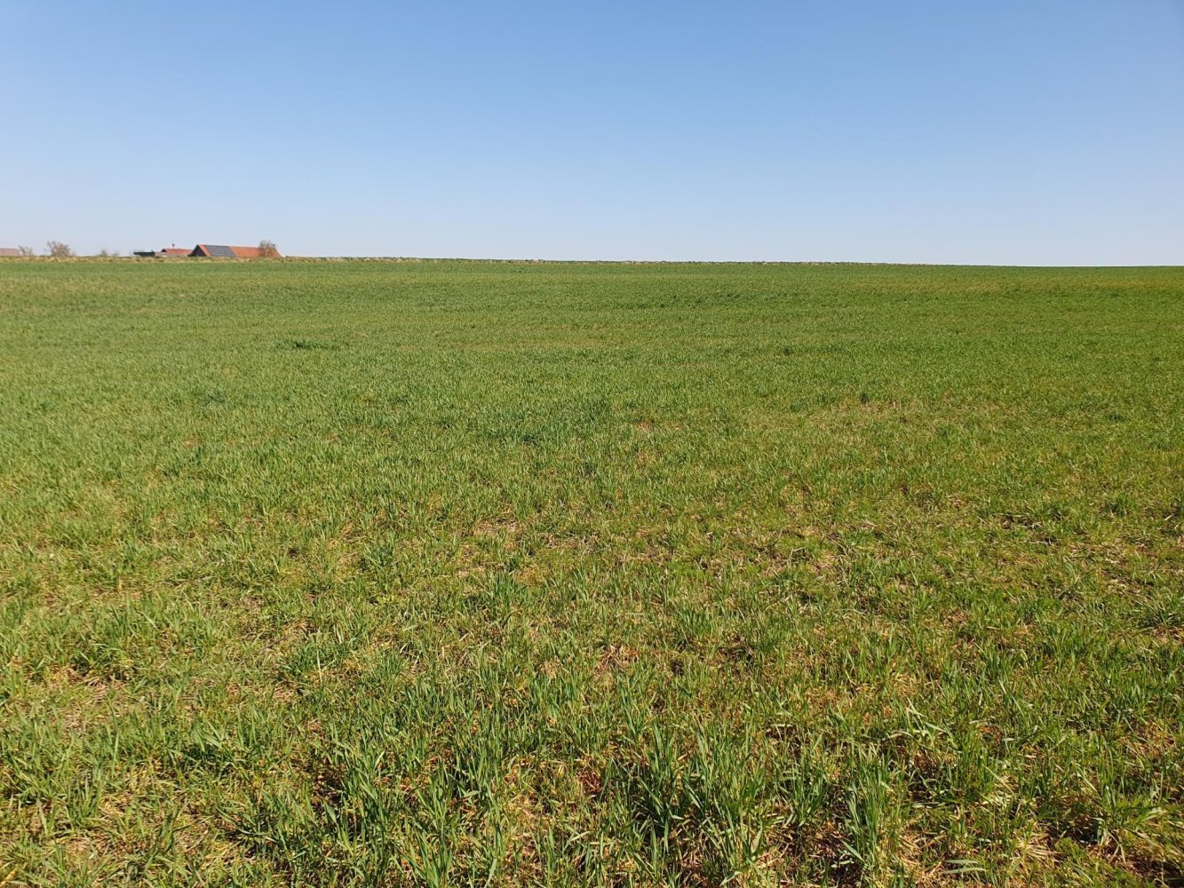  Land in Gilgenberg am Weilhart, Austria No. 134630