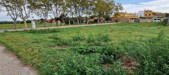 1604m² Land in Garriguella, Spain No. 73527 11