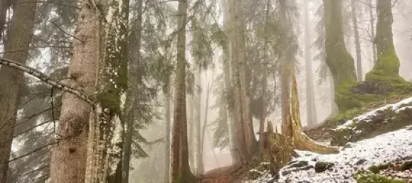Terreno em Garmisch-Partenkirchen, Germany N.º 17543 2