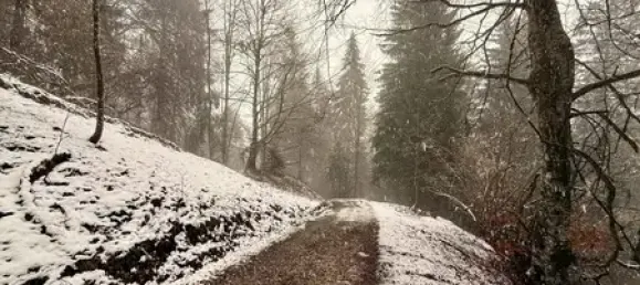 Terreno em Garmisch-Partenkirchen, Germany N.º 17543 4