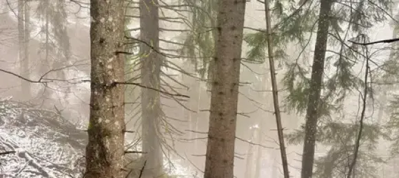 Terreno em Garmisch-Partenkirchen, Germany N.º 17543 3