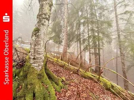  قطعة أرض في Garmisch-Partenkirchen, Germany رقم 17543