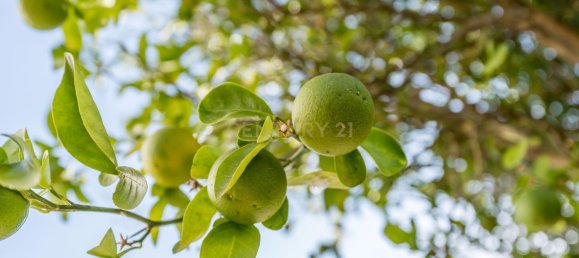 4 Schlafzimmer Haus in Alvor, Portugal, Nr. 136107 29