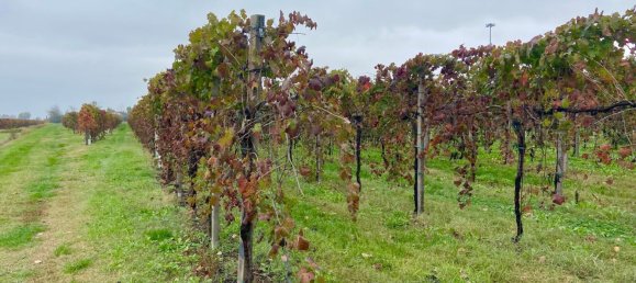 30000m² Land in Carpi, Italy No. 103629 5