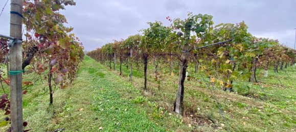 30000m² Land in Carpi, Italy No. 103629 8