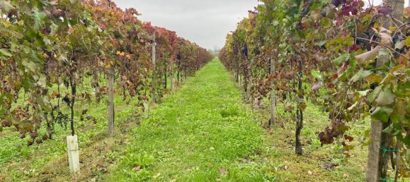 30000m² Land in Carpi, Italy No. 103629 3