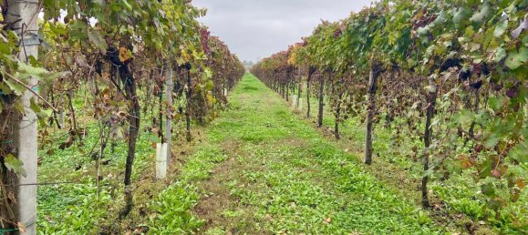 30000m² Land in Carpi, Italy No. 103629 4