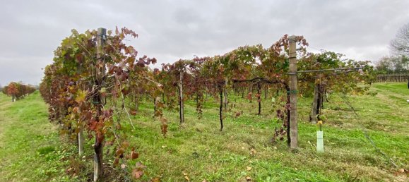 30000m² Land in Carpi, Italy No. 103629 7