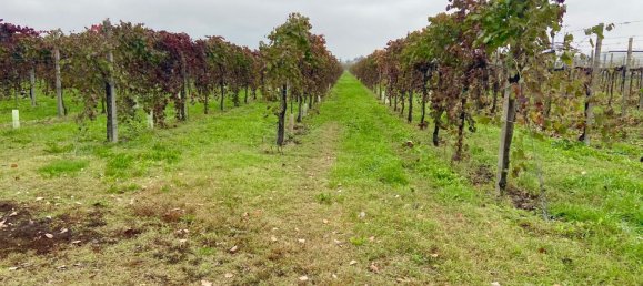 30000m² Land in Carpi, Italy No. 103629 12