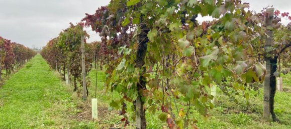 30000m² Land in Carpi, Italy No. 103629 2