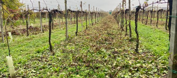 30000m² Land in Carpi, Italy No. 103629 11