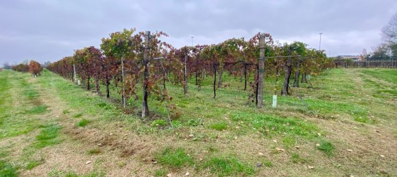 30000m² Land in Carpi, Italy No. 103629 6