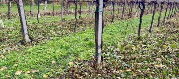 30000m² Land in Carpi, Italy No. 103629 10