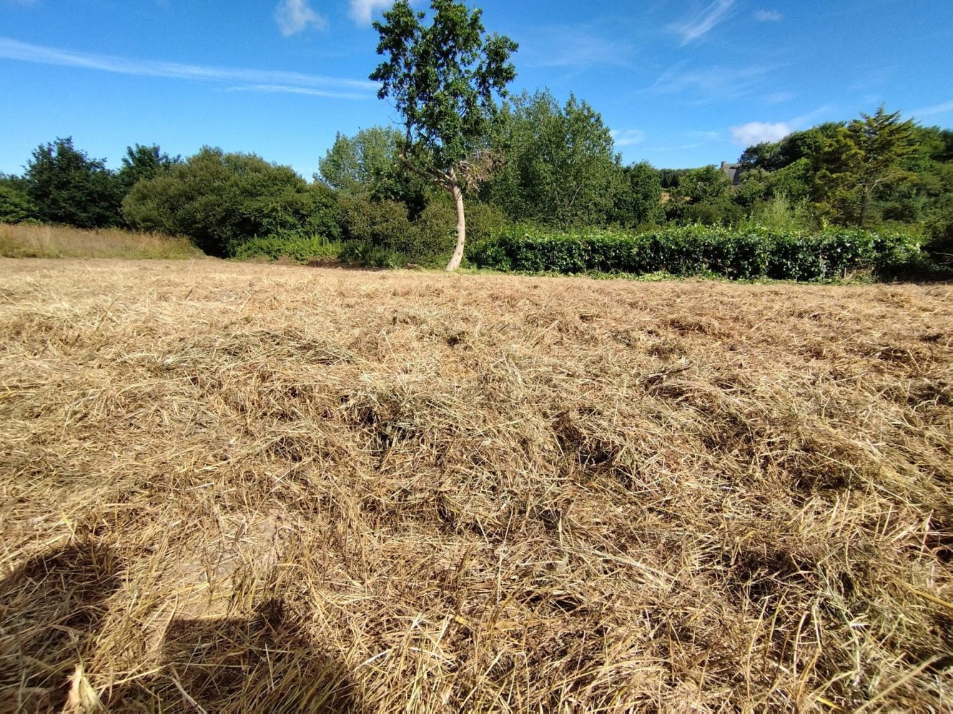 Земельный участок в Плугульм, Франция № 97026