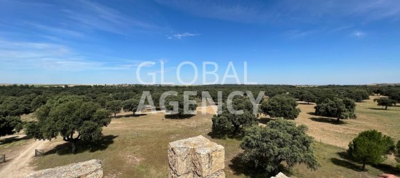 8 bedrooms House in Villacastin, Spain No. 26722 47