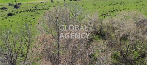 8 bedrooms House in Villacastin, Spain No. 26722 40