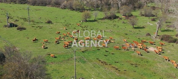 8 bedrooms House in Villacastin, Spain No. 26722 39