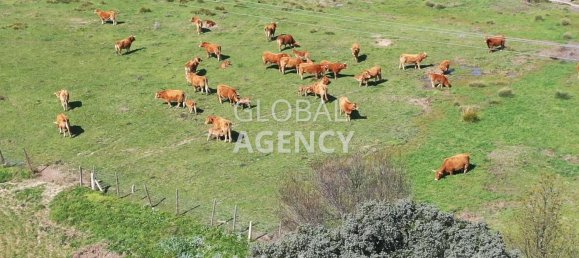 8 bedrooms House in Villacastin, Spain No. 26722 35