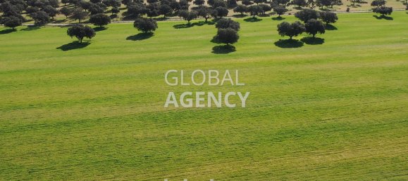 8 bedrooms House in Villacastin, Spain No. 26722 42