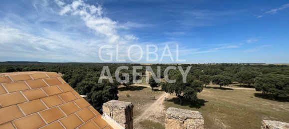 8 bedrooms House in Villacastin, Spain No. 26722 46