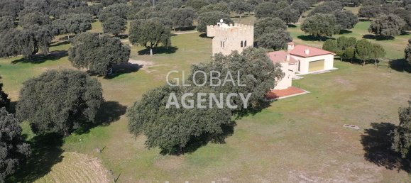 8 bedrooms House in Villacastin, Spain No. 26722 13