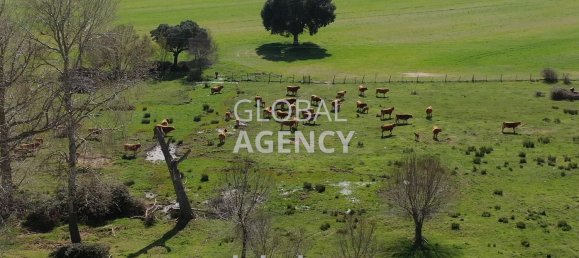 8 bedrooms House in Villacastin, Spain No. 26722 37