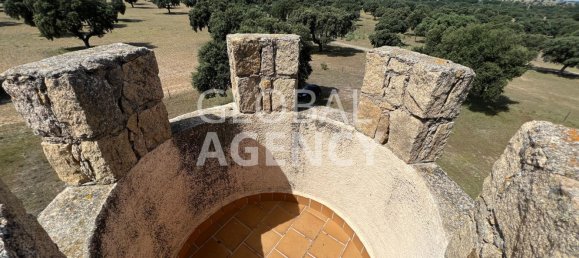 8 bedrooms House in Villacastin, Spain No. 26722 43