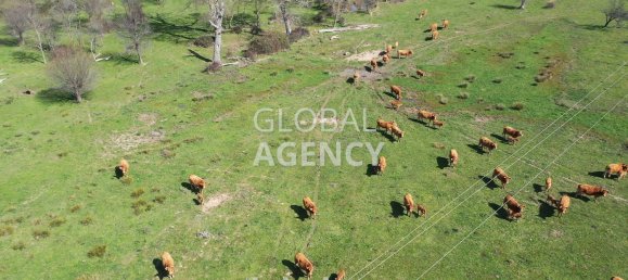 8 bedrooms House in Villacastin, Spain No. 26722 34