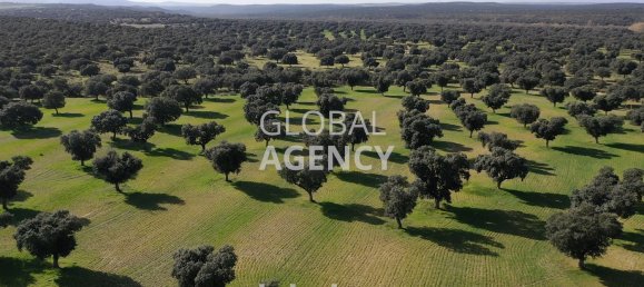 8 bedrooms House in Villacastin, Spain No. 26722 15