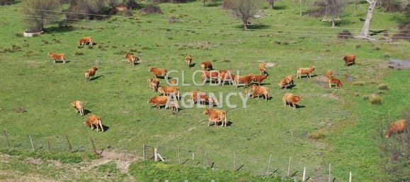 8 bedrooms House in Villacastin, Spain No. 26722 36