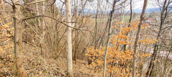  Land in Knittelfeld, Austria No. 163446 5