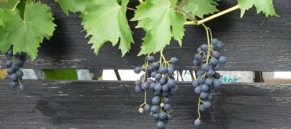 3-salle Appartement à Darmstadt, Germany No. 282304 18