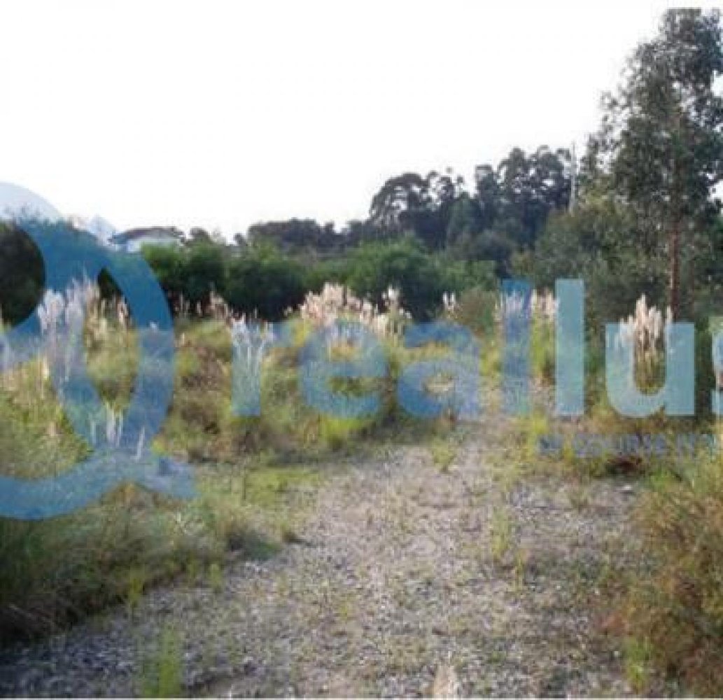 Земельный участок в Вила Нова ди Гая, Португалия № 8934