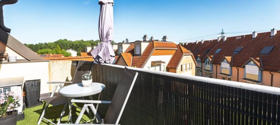 3 rooms Apartment in Traiskirchen, Austria No. 157118 19