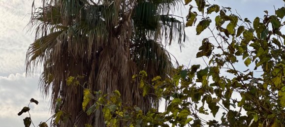 3 chambres Appartement à Valencia, Spain No. 118192 34