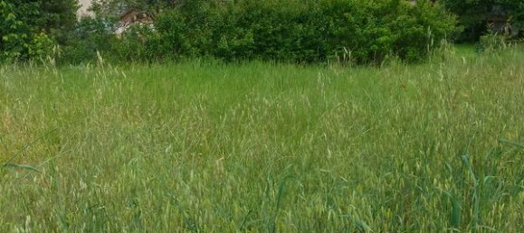 Grundstück in Hautes-Alpes, France, Nr. 316135 3