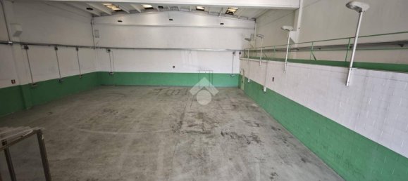 680m² Warehouse in Nichelino, Italy No. 296318 6