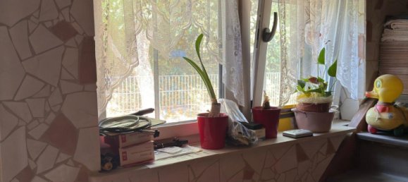 2 bedrooms House in Vogelsbergkreis, Germany No. 268981 13