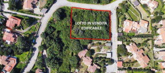 1771m² Land in Santa Teresa Gallura, Italy No. 174854 5